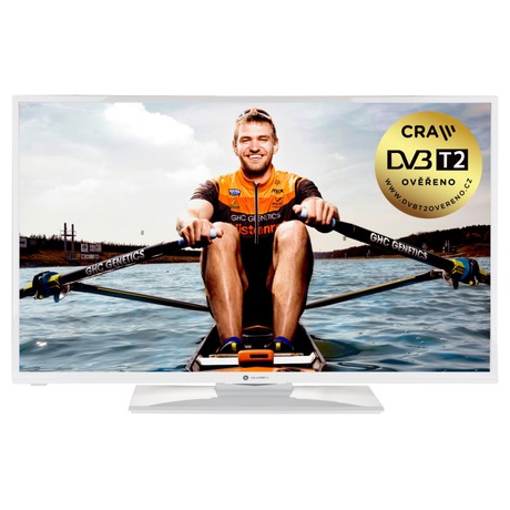 Televize GoGEN TVF 40N550 STWEBW LED