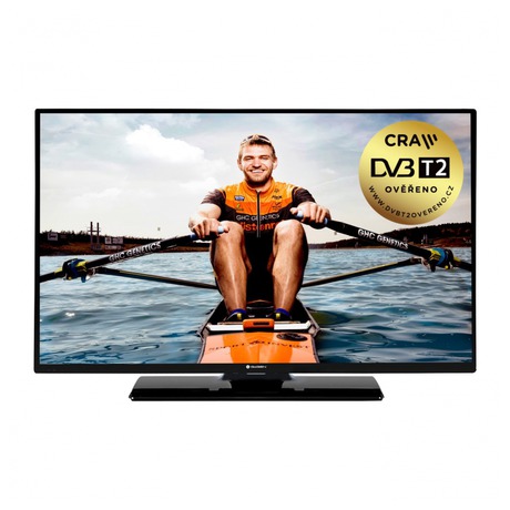 Televize GoGEN TVH 24N384 STWEB LED