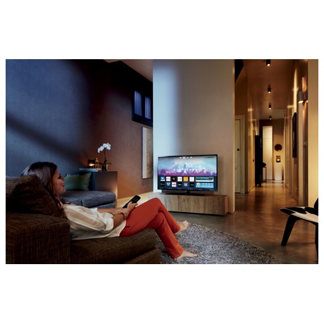 Televize Philips 43PFS5301