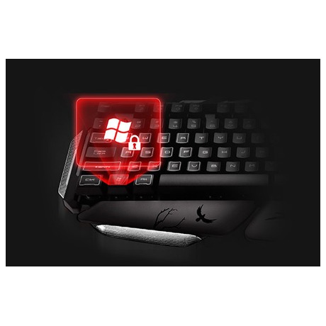 Klávesnice RAVCORE Valravn USB, RAVKLA45343 - Ravcore Valravn USB, RAVKLA45343 (foto 6)