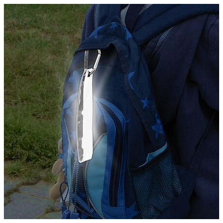 Compass 01574 (foto 1)