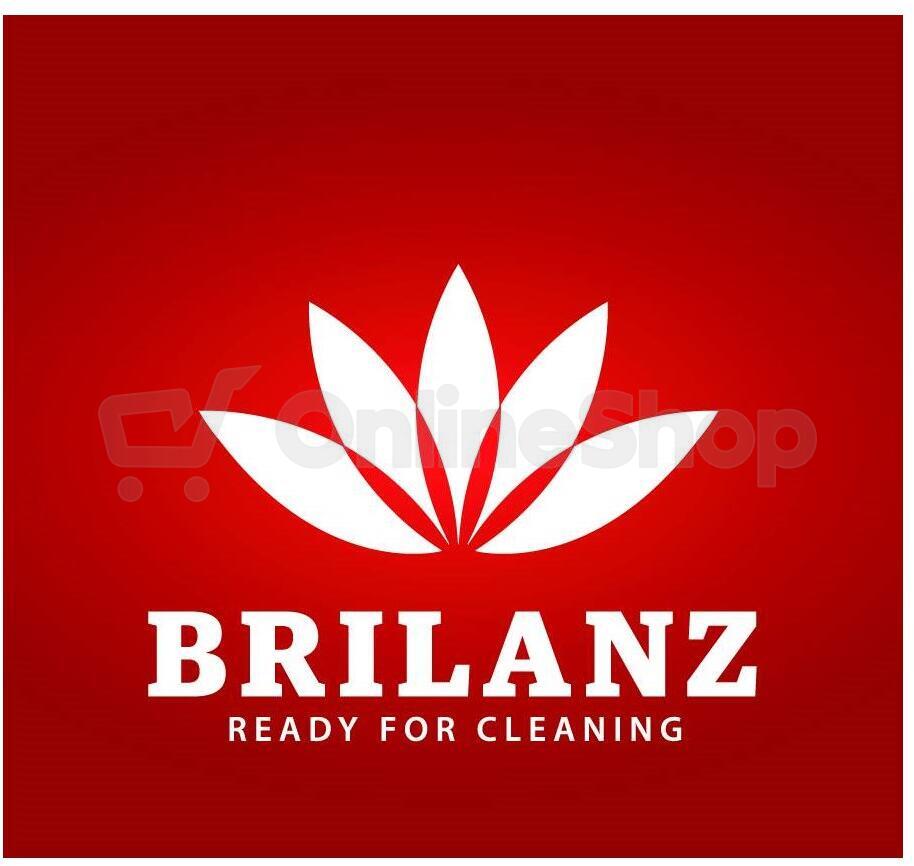 BRILANZ Mop ždímací 125 cm (43001A)