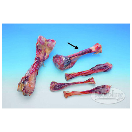 Nobby 17&nbsp;cm (foto 1)