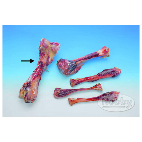 Nobby 24&nbsp;cm (foto 1)