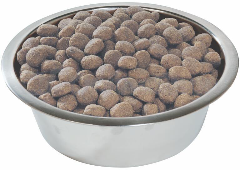 PRO PLAN Dog Adult Large Robust 14 kg
