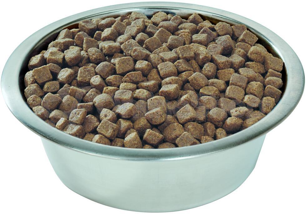 PRO PLAN Dog Adult Medium&Large 7+ 14 kg