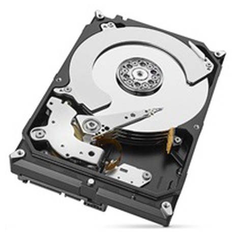 SEAGATE HDD SKYHAWK (foto 3)