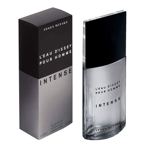 Issey Miyake L'Eau D'Issey Pour Homme Intense, 125 ml (foto 1)