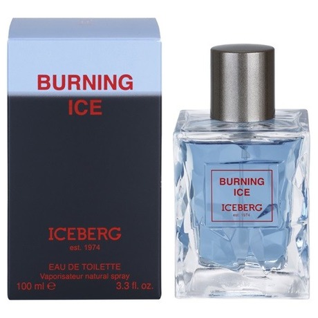Iceberg Burning Ice, 100 ml (foto 1)