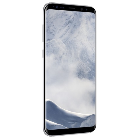 Samsung G955 Galaxy S8+ Silver (foto 2)