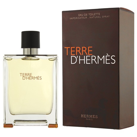 Hermes Terre d´Hermes, 100 ml (foto 1)