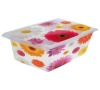 Úložný box OKT Gerbera, 10 l