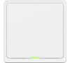 Tesla Smart Switch (TSL-SWI-WIFI1)