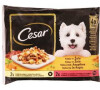 Cesar Selection kapsa výběr v želé 4x100g
