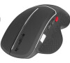 Speedlink SPEED LINK myš SL-630020-BK LITIKO Ergonomic Mouse - wireless, black