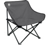 Coleman Kickback (grey)