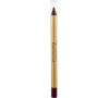 Tužka na rty Max Factor Colour Elixir, 2 ml, odstín 20 Plum Passion