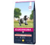 Eukanuba Dog Senior Medium 15kg