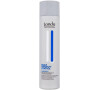 Šampon Londa Professional Scalp Dandruff Control, 250 ml