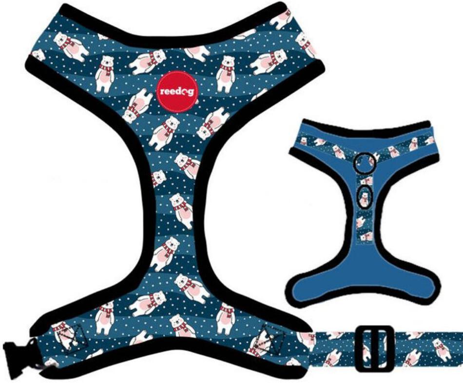 Reedog BEAR - S