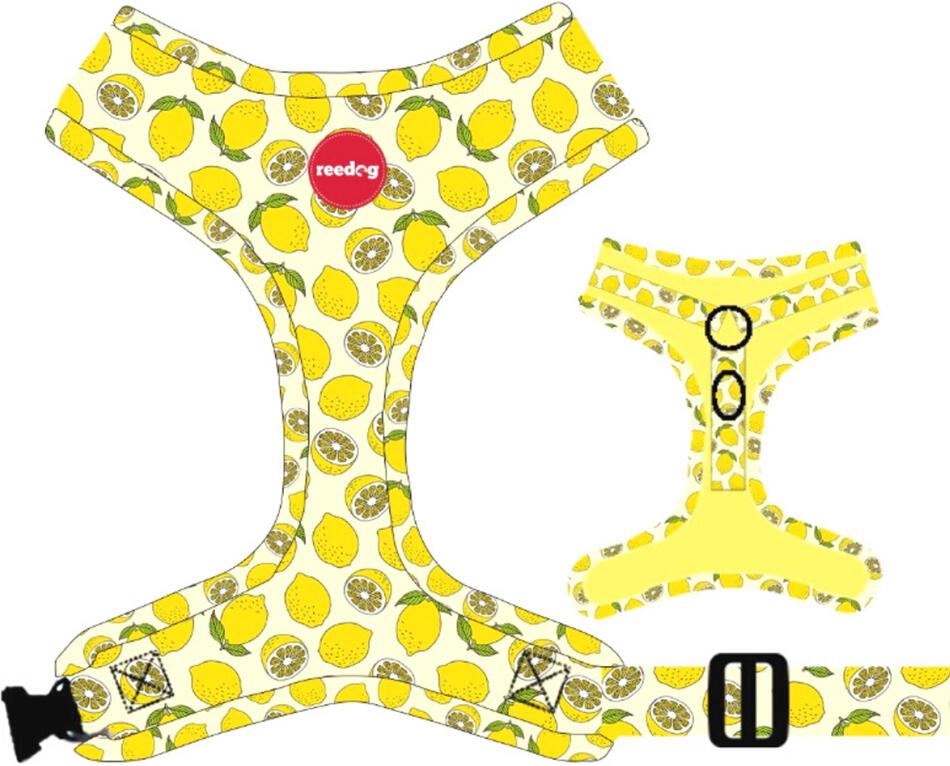 Reedog LEMON - S