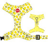 Reedog LEMON - M