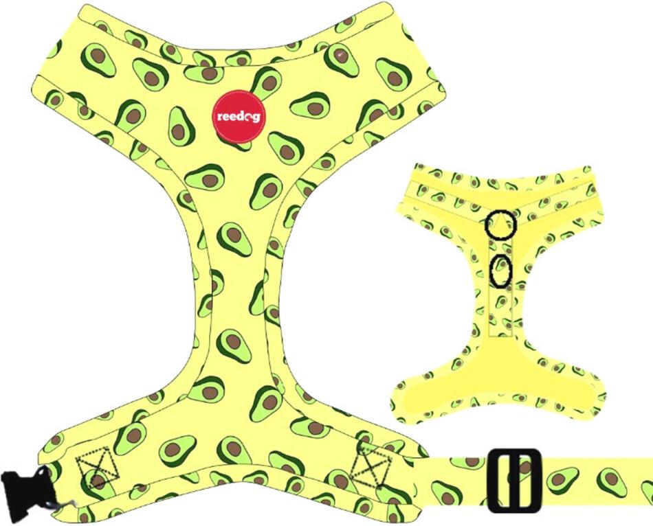 Reedog AVOCADO - M