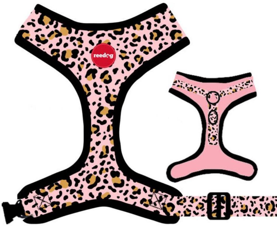 Reedog LEO PINK - M