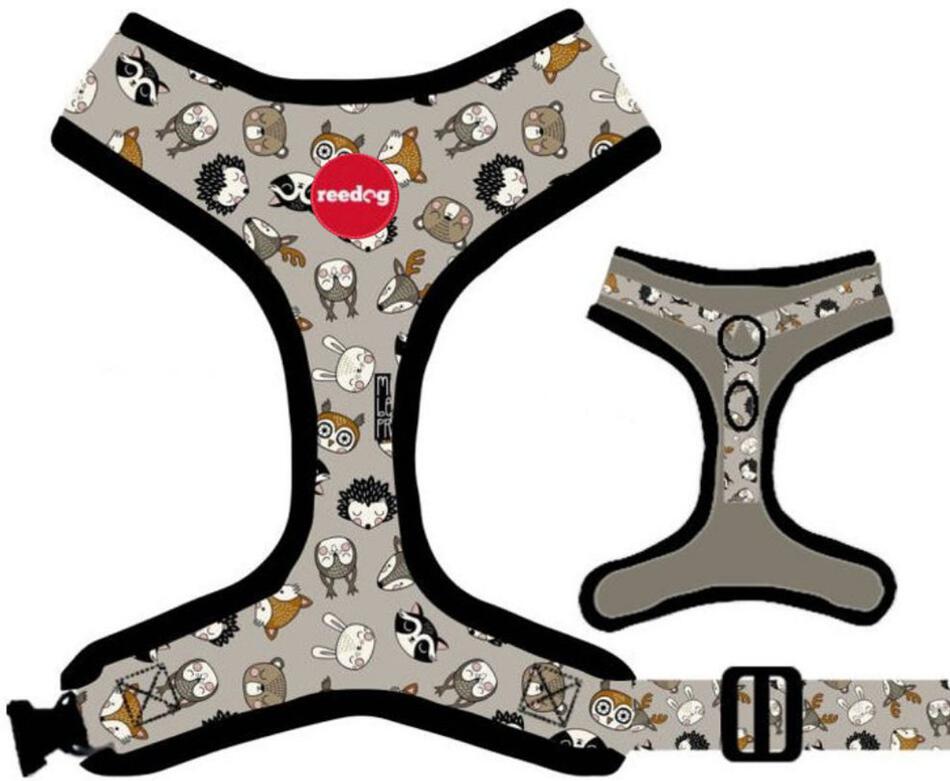 Reedog FOREST - M