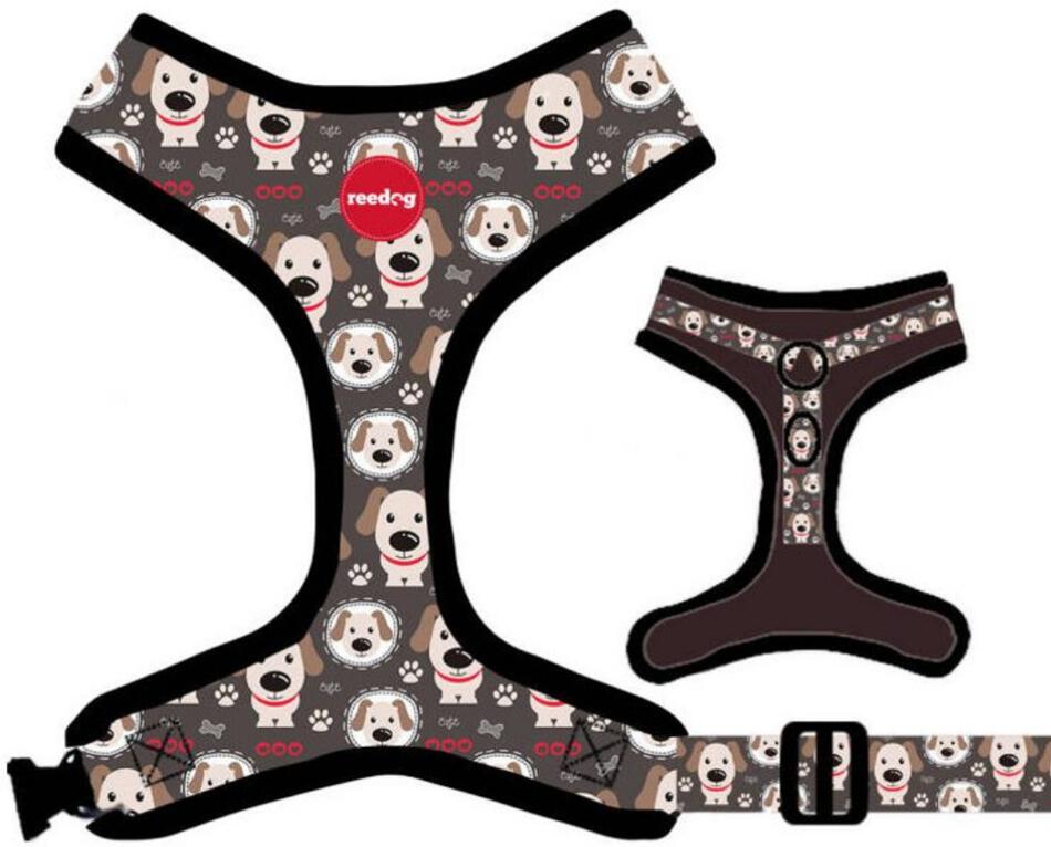 Reedog PUPPY - M