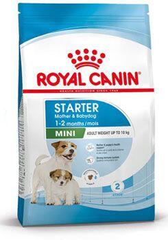 Royal Canin Mini Starter Mother&Babydog 8kg