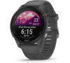 Garmin Forerunner 255, Slate Gray (010-02641-10)