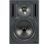 Behringer TRUTH B2030A