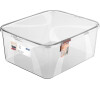 ROTHO Úložný box LONA 19L