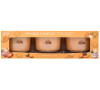 Vonná svíčka Yankee Candle Mango Ice Cream, 37 ml