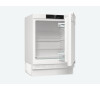 GORENJE RIU609FA1