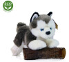 Rappa Plyšový pes husky 20 cm ECO-FRIENDLY