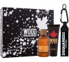 Toaletní voda Dsquared2 Wood, 100 ml