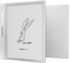 E-book ONYX BOOX LEAF 2, 32GB
