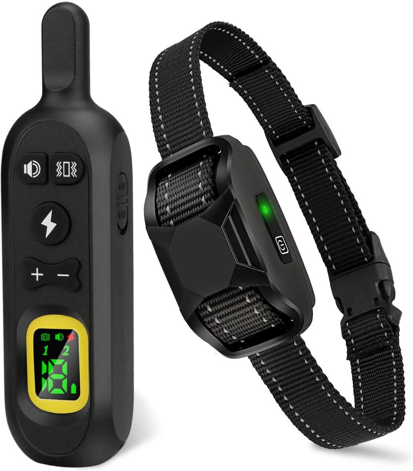 Reedog P19 - pro 1 psa