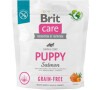 Brit Care Dog Grain-free Puppy 1kg