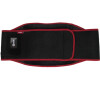 Vyhřívací pás Solac, CT8710, Lumbar pad, bederní, termo, 4 teploty, USB nabíjení