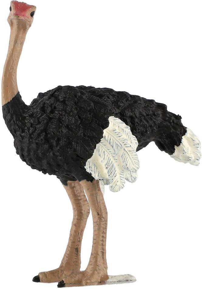Figurka Zooted Pštros dvouprstý, plast, 11 cm