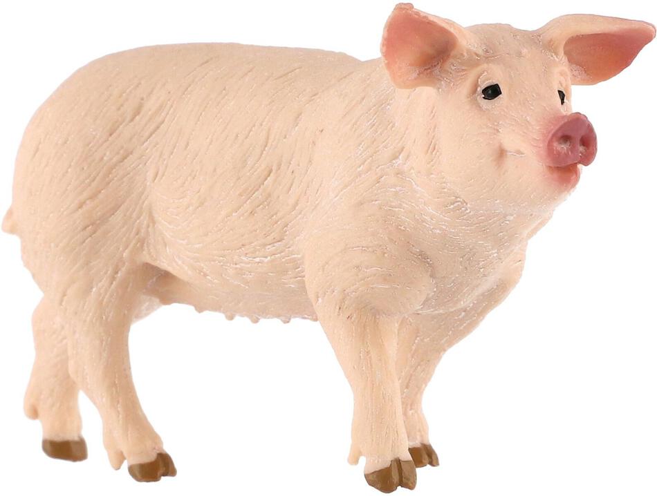 Figurka Zooted Prase domácí, plast, 10 cm