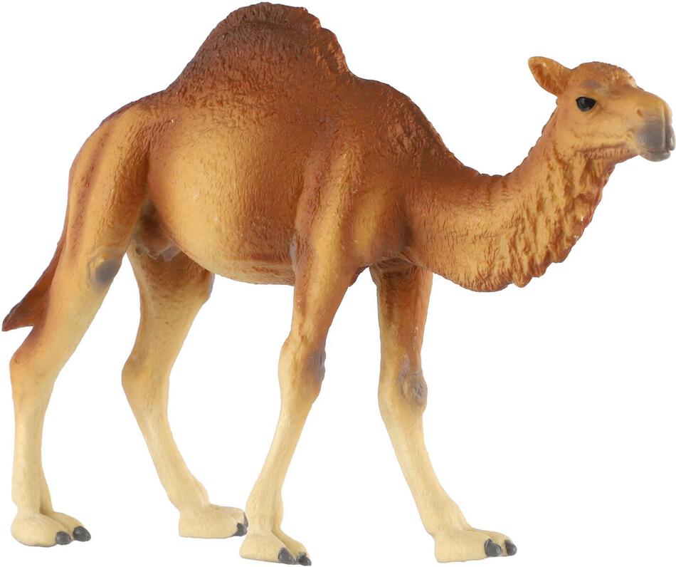 Figurka Zooted Velbloud jednohrbý, 13 cm
