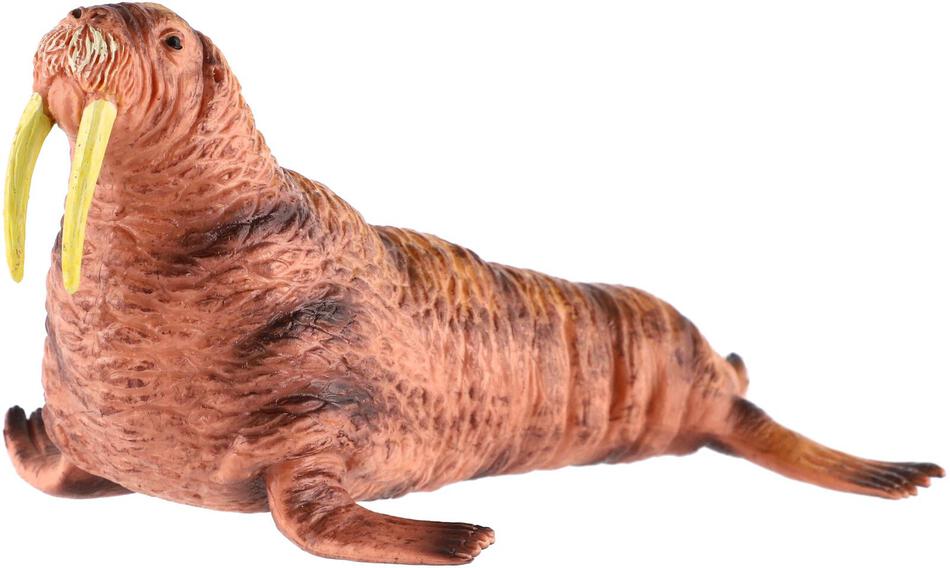 Figurka Zooted Mrož lední, plast, 14 cm