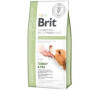 Brit Veterinary Diets Brit VD Dog GF Diabetes 12kg