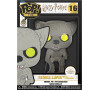 Funko POP Pin: Harry Potter - Remus Lupin