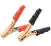 Svorky 100A izolované COMPASS 07506 2ks