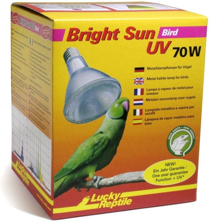 Lucky Reptile Bright Sun Bird 70W